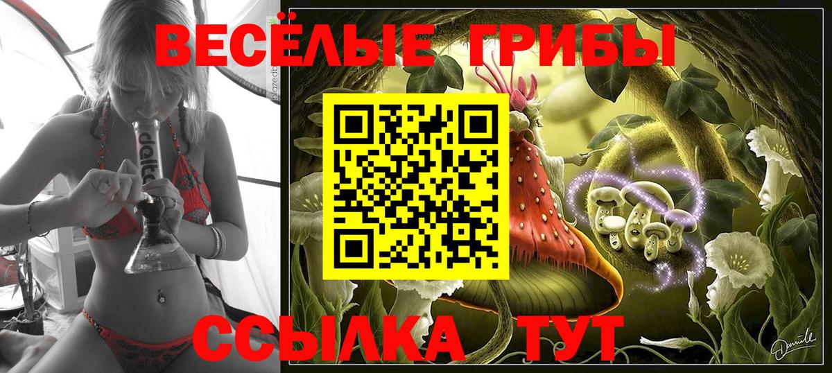 Галлюциногенные грибы Psilocybe  Галлюциногенные грибы Psilocybe  Семилуки  цена наркотик  Вход с VPN 