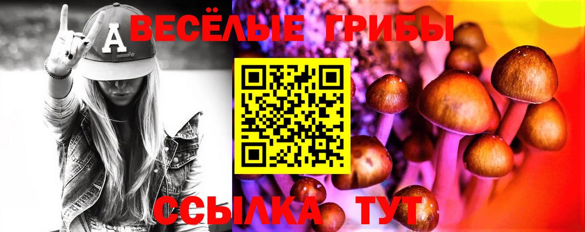Галлюциногенные грибы Psilocybine cubensis Семилуки