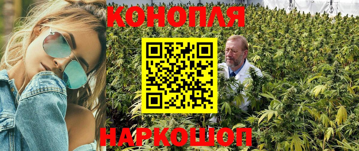 Каннабис OG Kush Семилуки